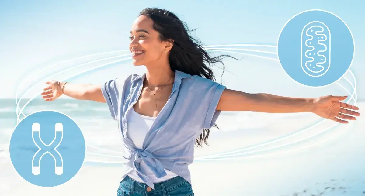 3 Big Ways Telomeres Impact Mitochondria 3 Big Ways Telomeres Impact Mitochondria